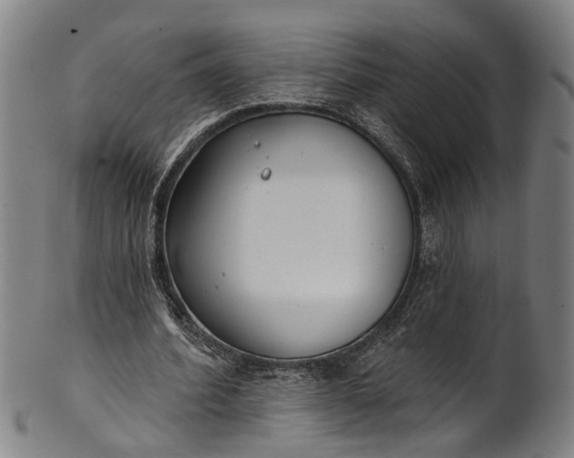 X0000101230580200807111122