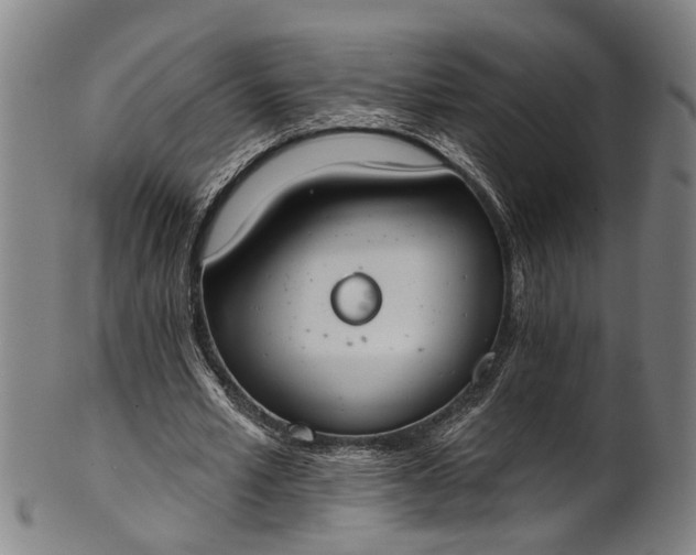 X0000101230581200807111122