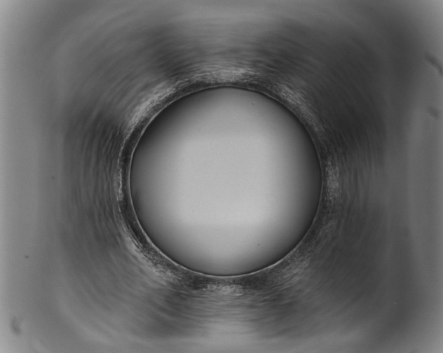 X0000101230582200807111122