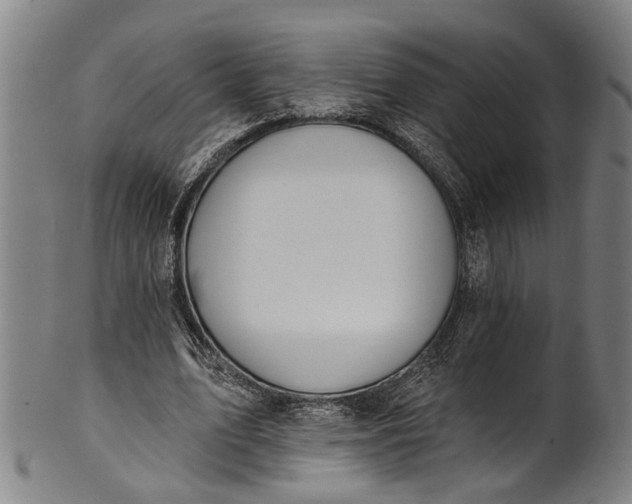 X0000101230583200807111122