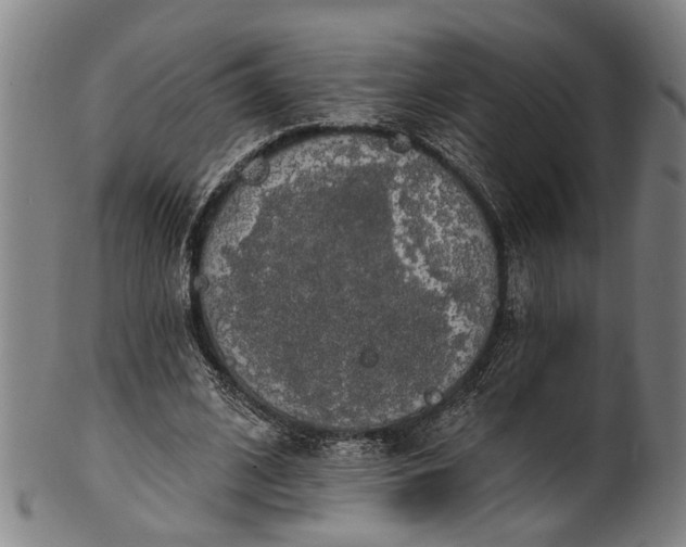 X0000101230584200807111122