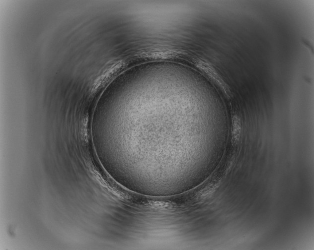 X0000101230585200807111122