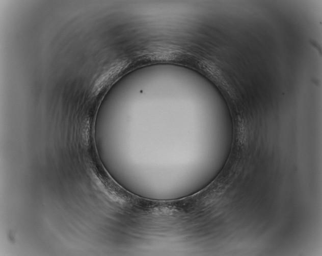 X0000101230586200807111122