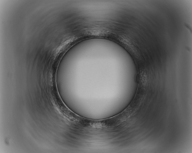 X0000101230587200807111122