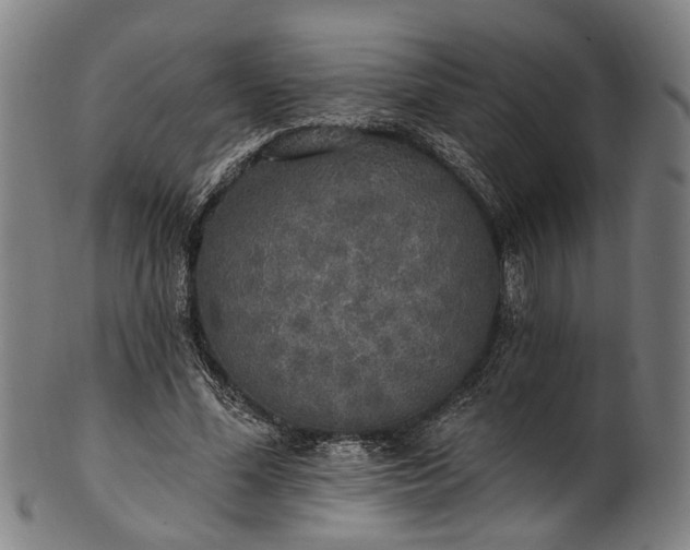 X0000101230588200807111122