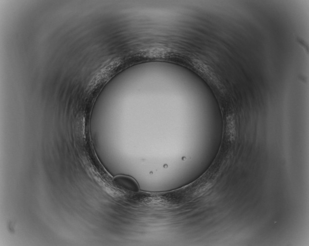 X0000101230589200807111122