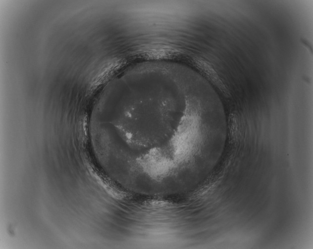 X0000101230590200807111122