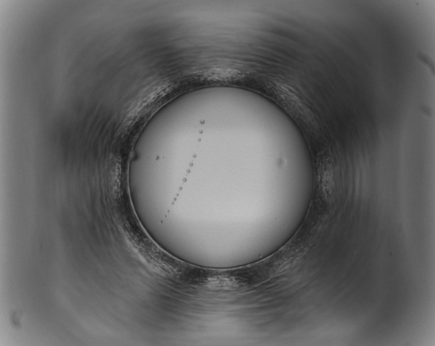 X0000101230591200807111122