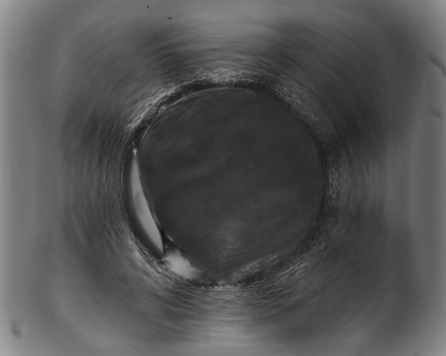 X0000101230592200807111122