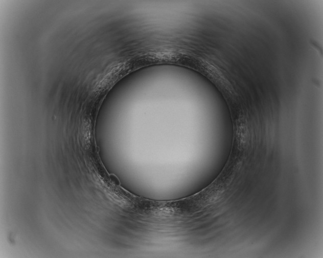 X0000101230593200807111122