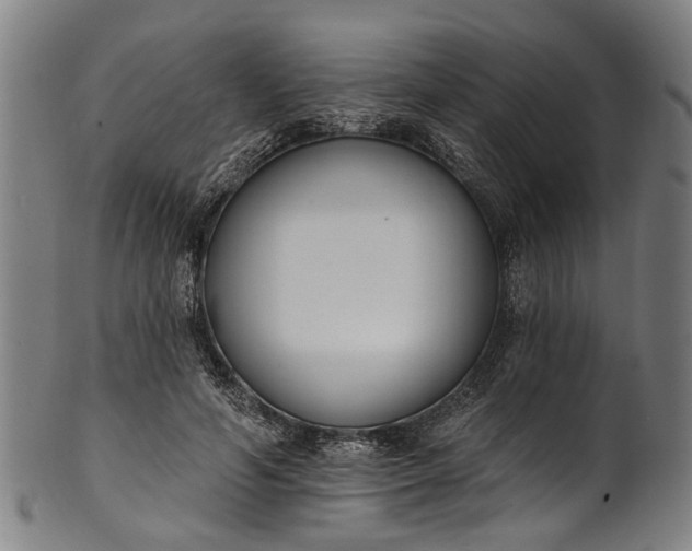 X0000101230594200807111122