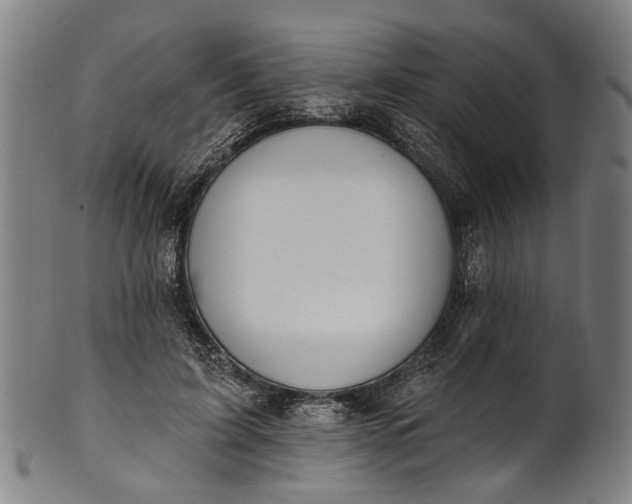 X0000101230595200807111122