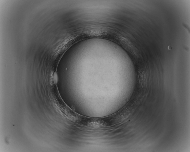 X0000101230596200807111122