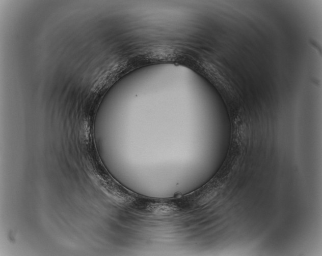 X0000101230597200807111122