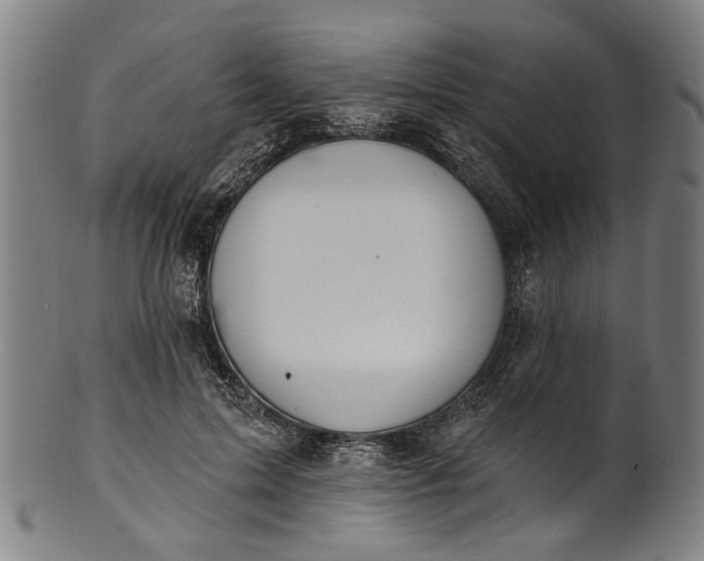 X0000101230599200807111122