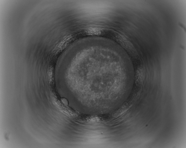 X0000101230600200807111122