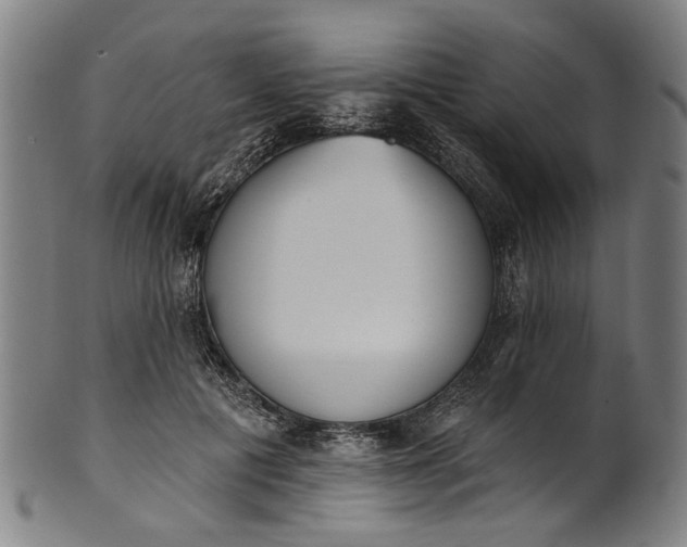 X0000101230601200807111122