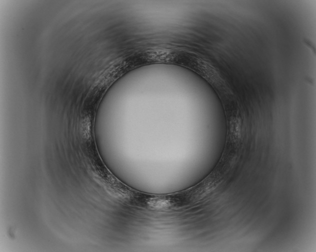 X0000101230602200807111122