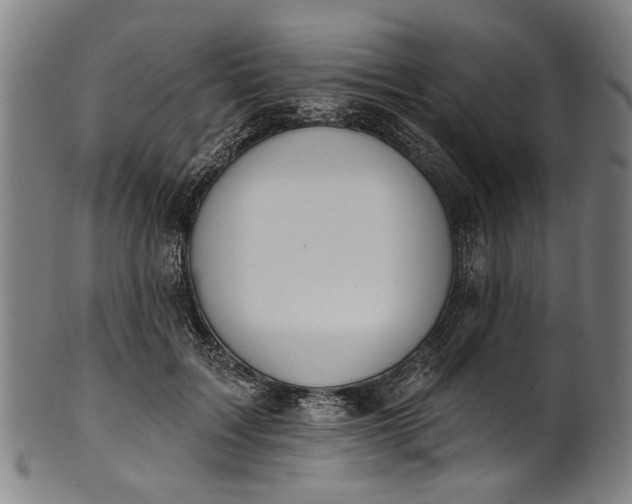 X0000101230603200807111122