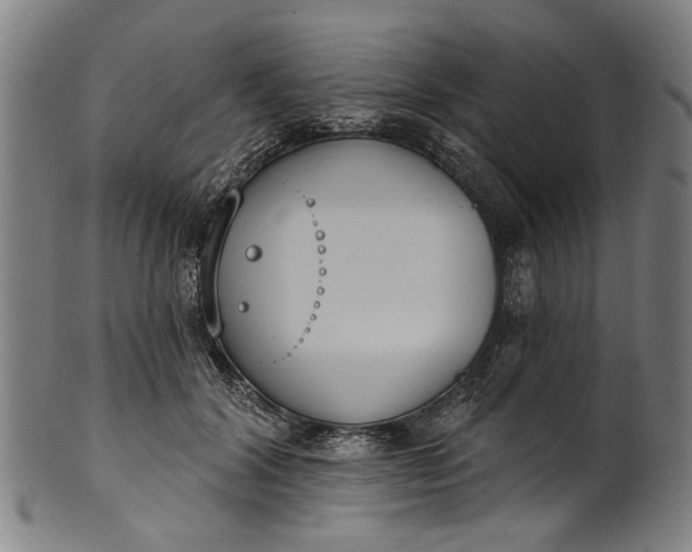 X0000101230604200807111122