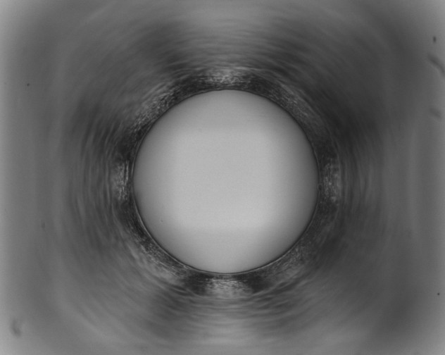 X0000101230605200807111122