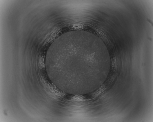 X0000101230606200807111122