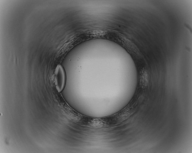 X0000101230608200807111122