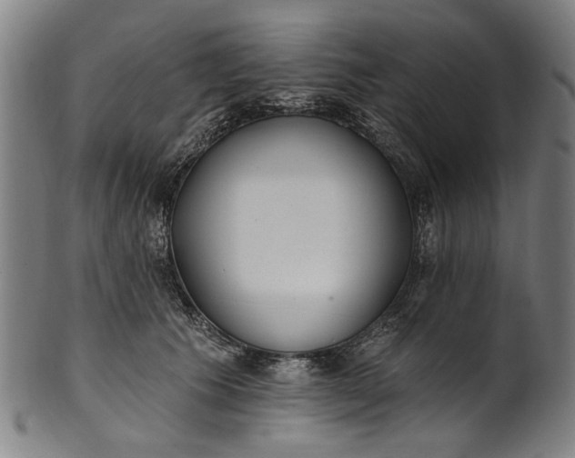 X0000101230609200807111122