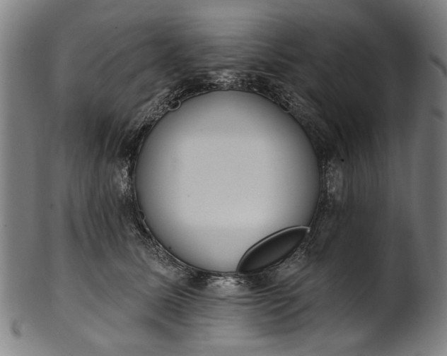 X0000101230611200807111122