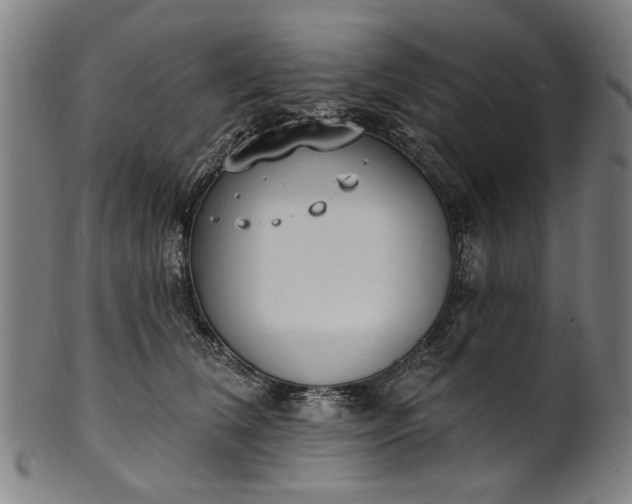 X0000101230612200807111122