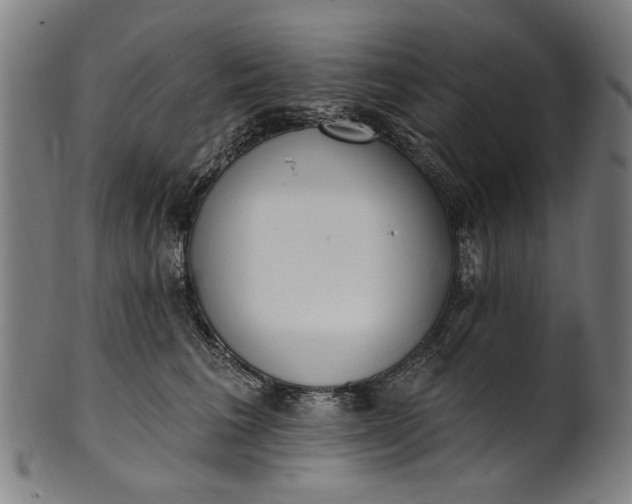 X0000101230613200807111121