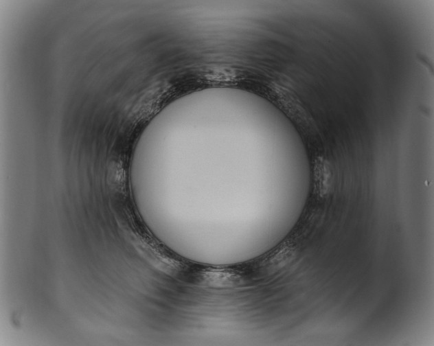 X0000101230614200807111121