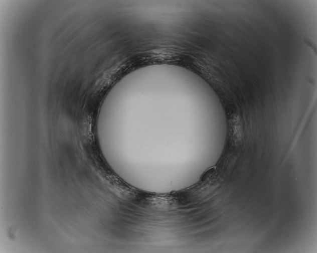 X0000101230615200807111121