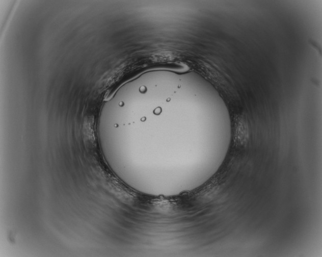 X0000101230616200807111121