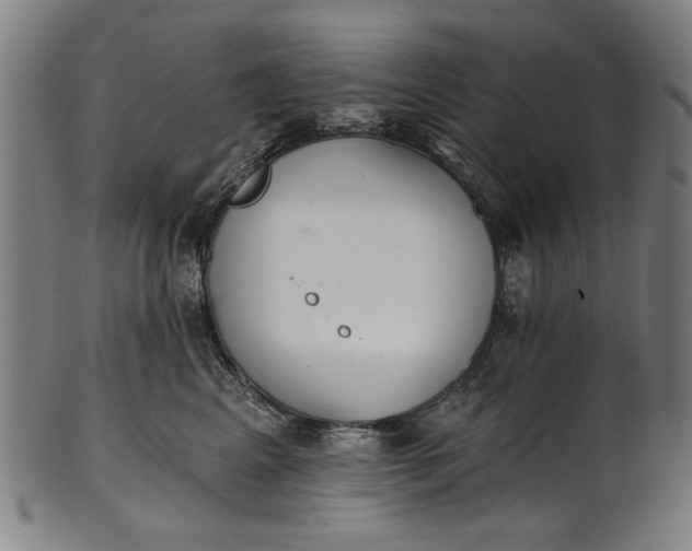 X0000101230617200807111121