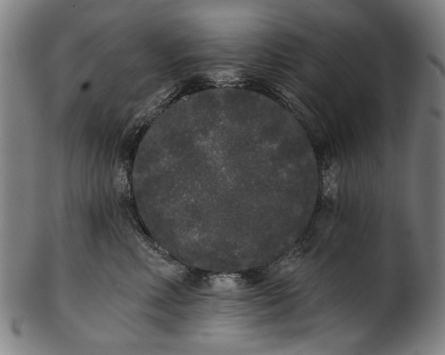 X0000101230618200807111121