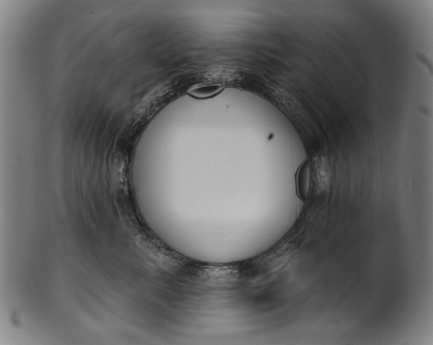 X0000101230619200807111121