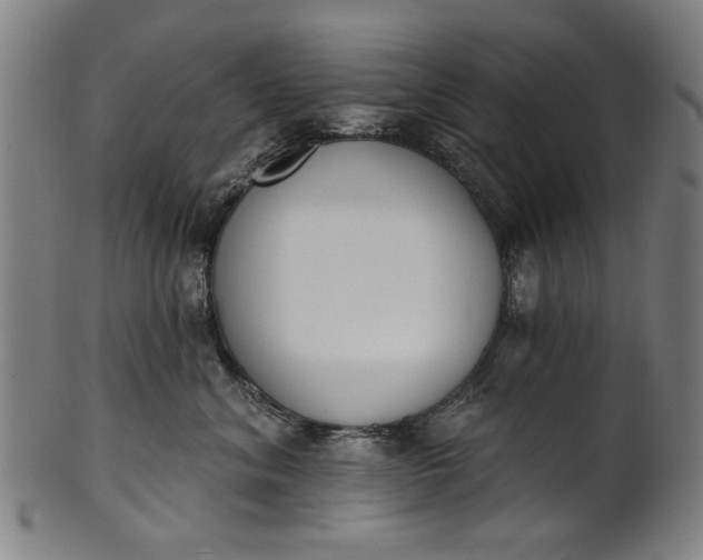 X0000101230620200807111121