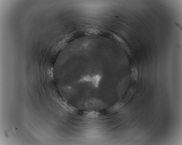 X0000101230621200807111121