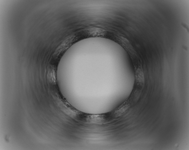 X0000101230622200807111121