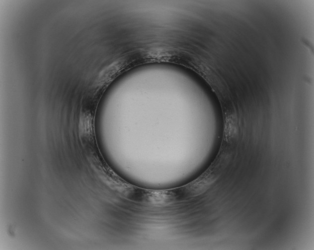 X0000101230623200807111121