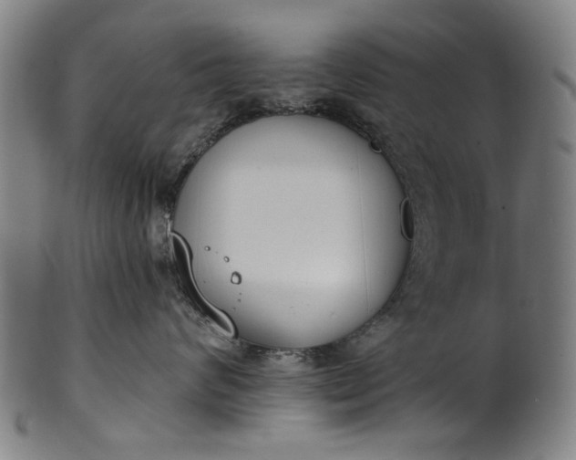 X0000101230624200807111121