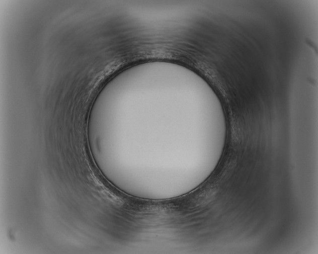 X0000101230625200807111121