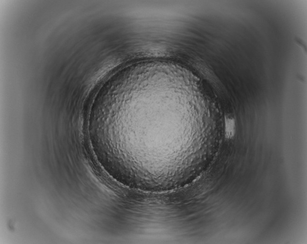 X0000101230627200807111121