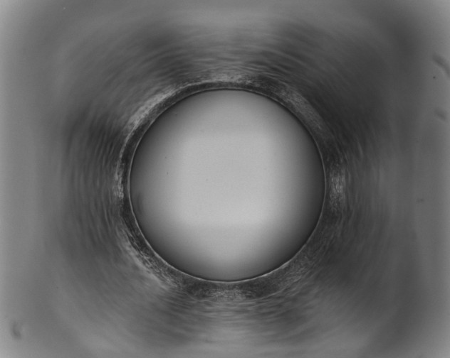 X0000101230628200807111121