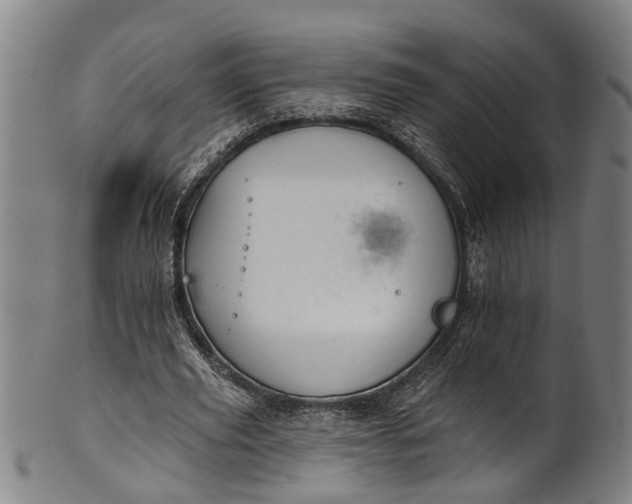 X0000101230629200807111121