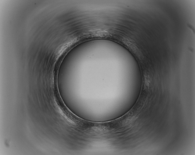 X0000101230630200807111121