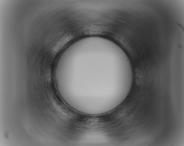 X0000101230631200807111121