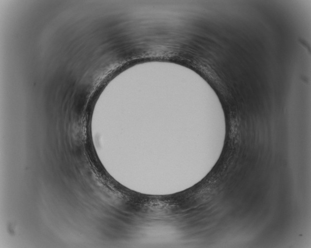 X0000101230632200807111121