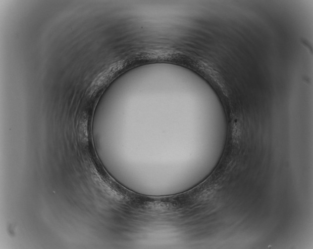 X0000101230633200807111121